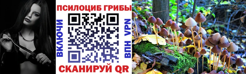 где купить наркоту  Березники  Псилоцибиновые грибы ЛСД 